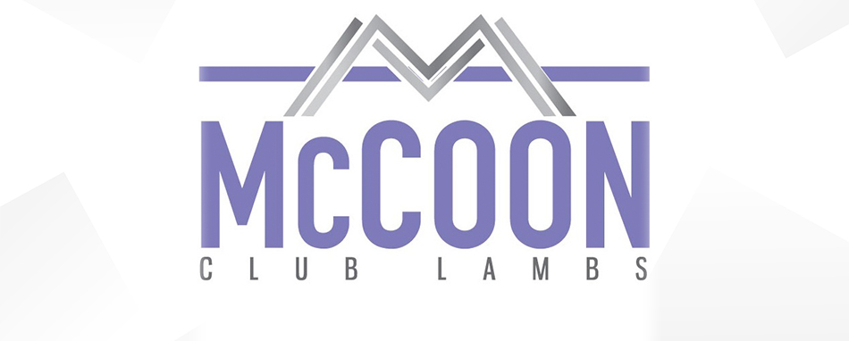 McCoon Club Lambs